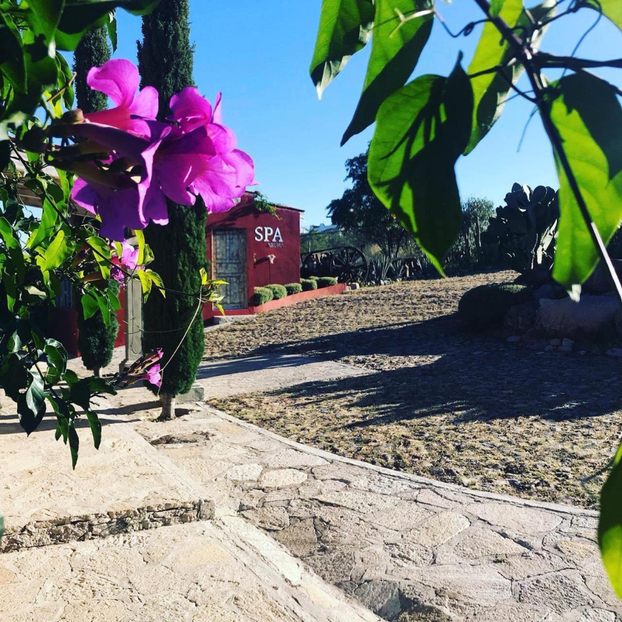 View Hotel Boutique Don Juan Xido De Abajo Bagian luar foto